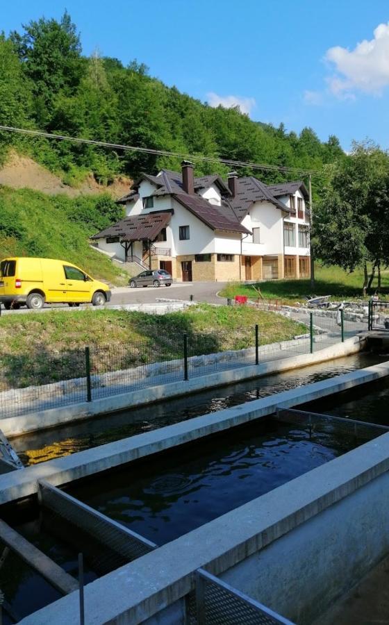 Bed and Breakfast Zlatarska Dolina à Nova Varoš Extérieur photo