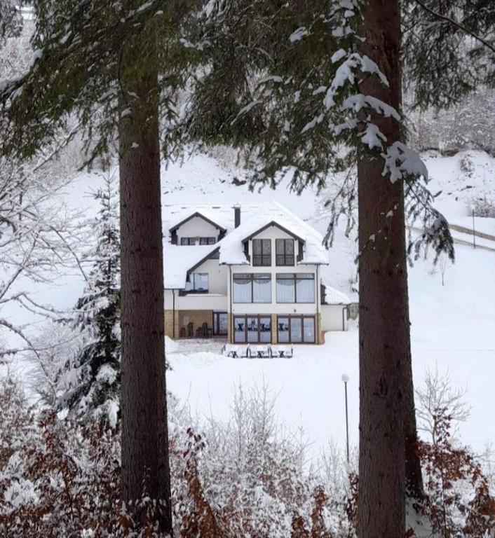 Bed and Breakfast Zlatarska Dolina à Nova Varoš Extérieur photo