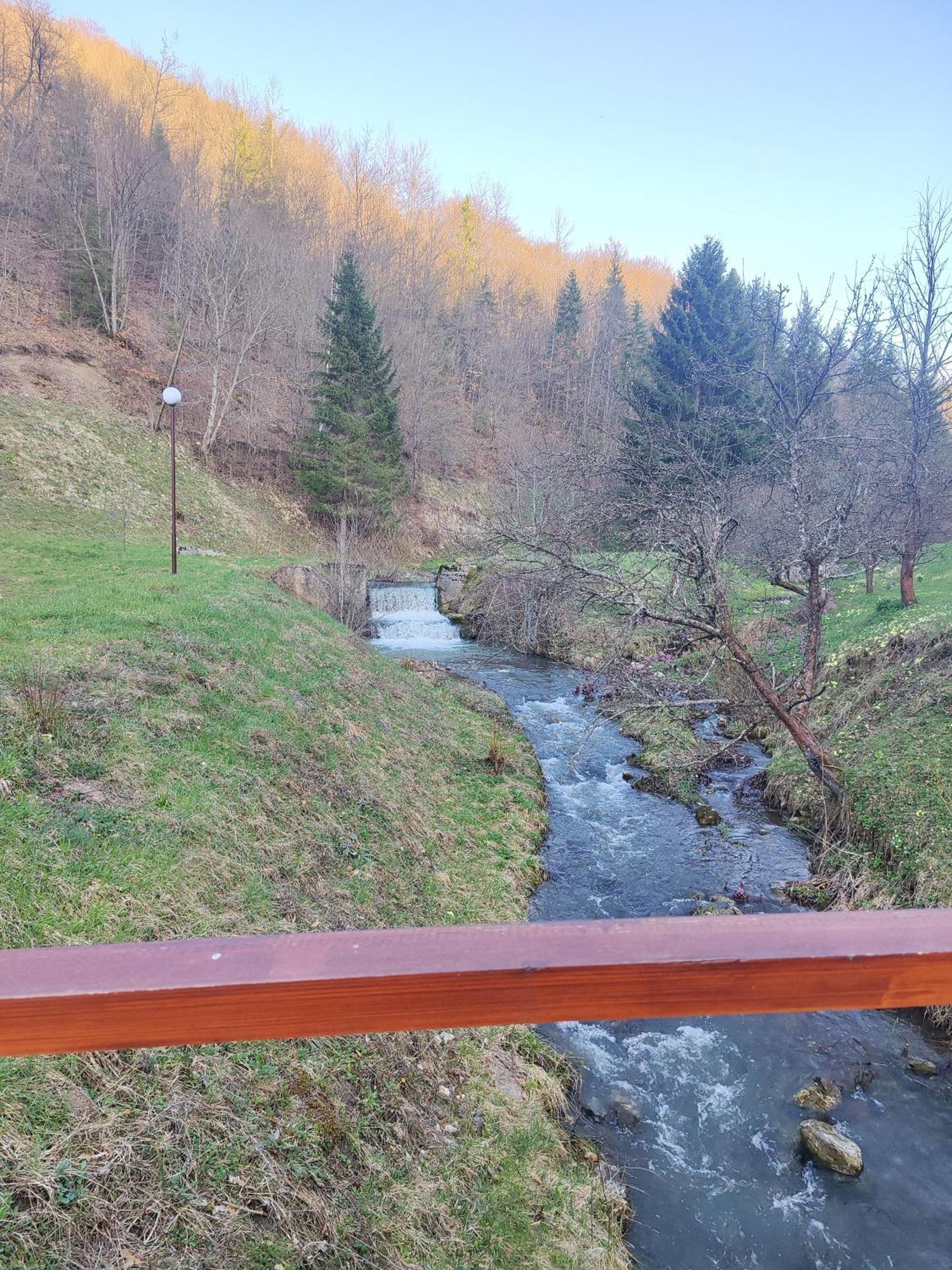 Bed and Breakfast Zlatarska Dolina à Nova Varoš Extérieur photo