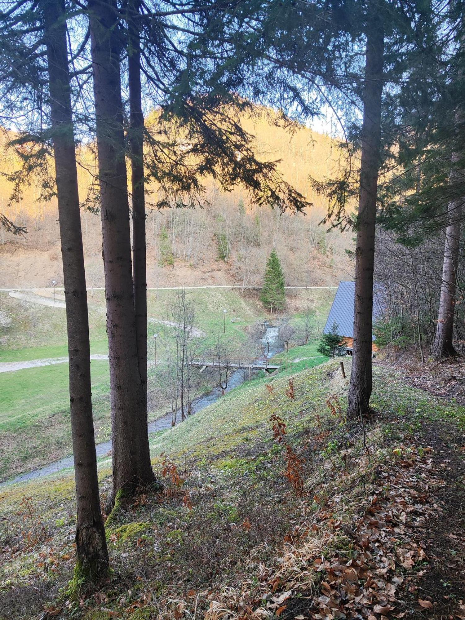 Bed and Breakfast Zlatarska Dolina à Nova Varoš Extérieur photo